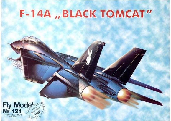 Истребитель Grumman F-14 Tomcat